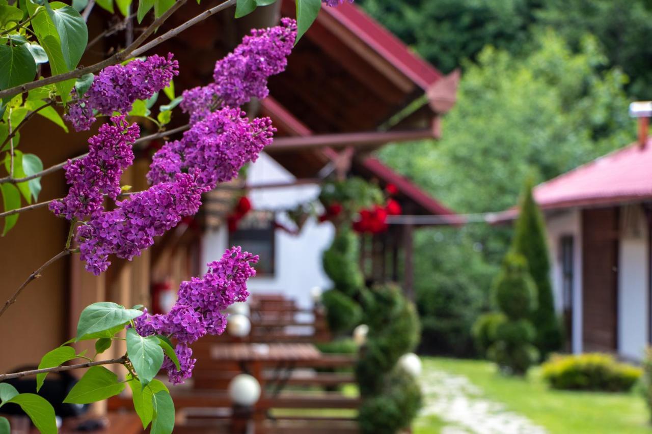 Patakmenti Panzio Spa Корунд Экстерьер фото